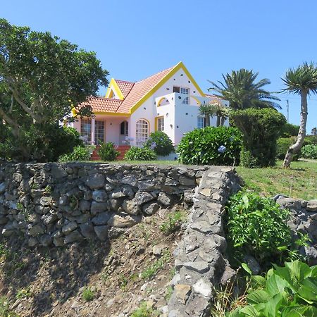 Villa Cedros 圣克鲁什达什弗洛里什 外观 照片